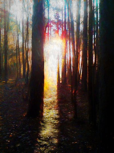 The Arrival by Unbekannt Unbekannt